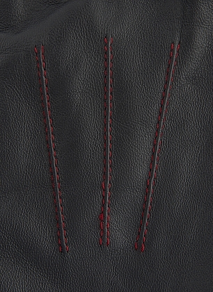 2Картинка Dents Women's Leather Gloves with Contrasting Forchettes